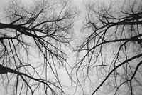 20180108II_22